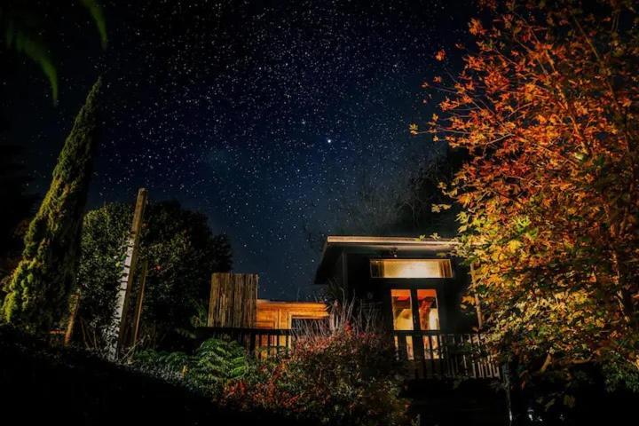 Starry Nights Cabin Fever Waikino Buitenkant foto