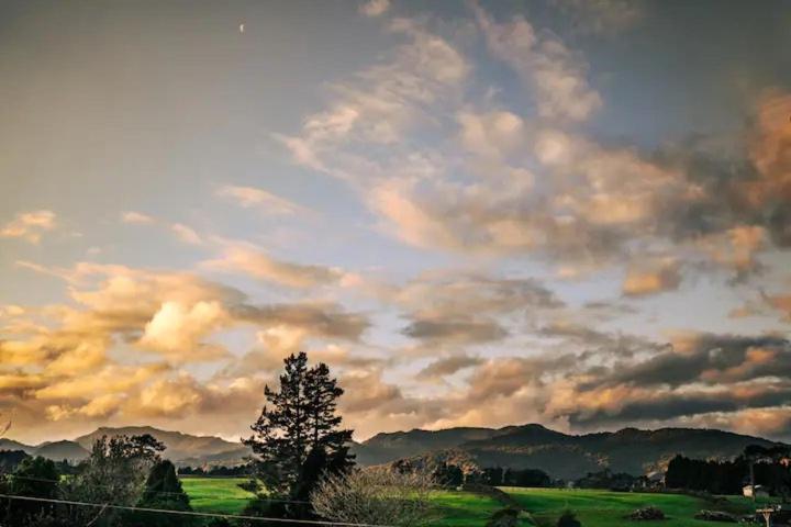 Starry Nights Cabin Fever Waikino Buitenkant foto